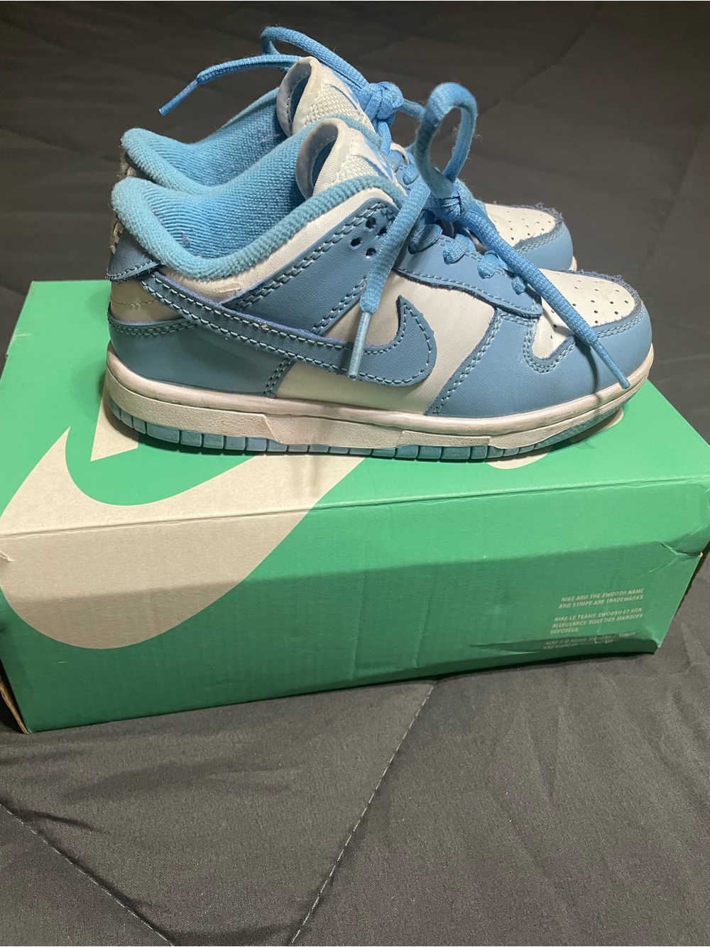 Nike Kids SB Dunk Light Blue and White Low-Top Sneakers